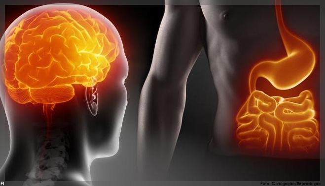 Pesquisa probiótica da J&J explora as conexões entre microbioma, sistema nervoso, sono e saúde da pele