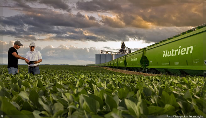 Nutrien fecha a compra da rede goiana Tec Agro