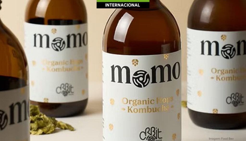 Momo Kombucha e Orbit Beers criam bebida com lúpulos orgânicos